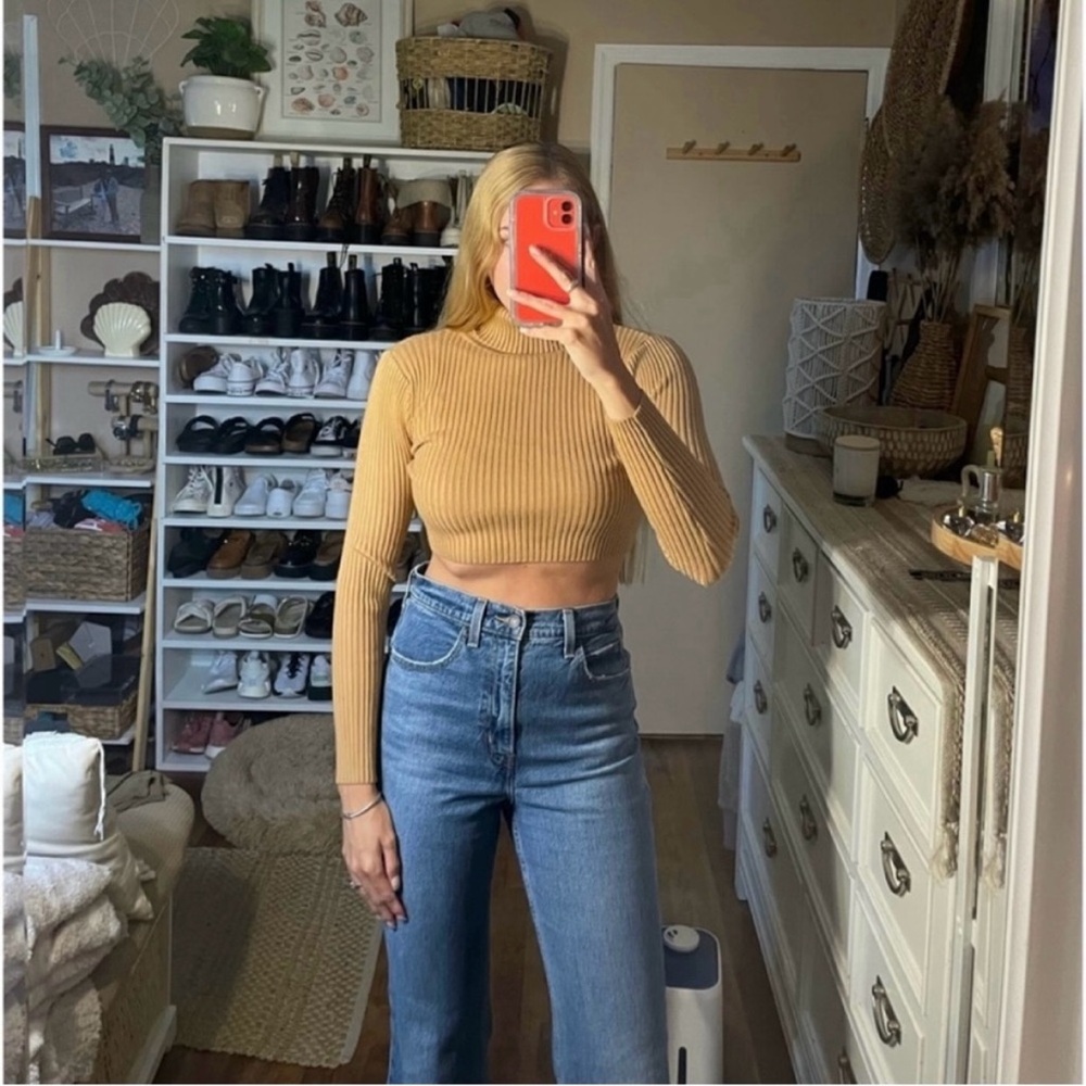 Daisy cropped mock neck sweater